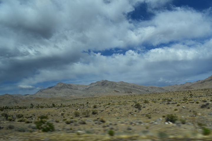 DSC_0389