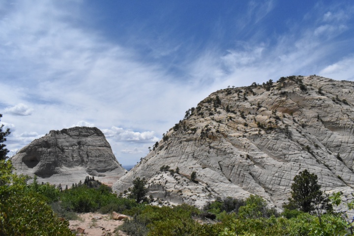 DSC_0421