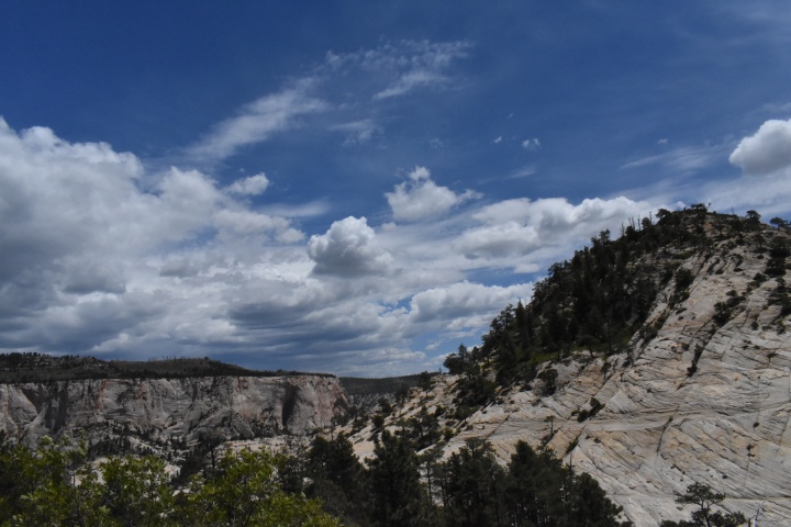 DSC_0431