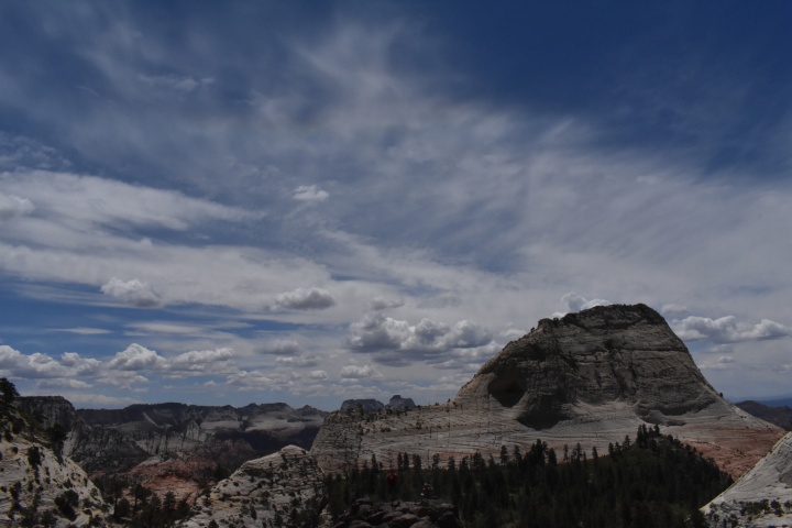 DSC_0432