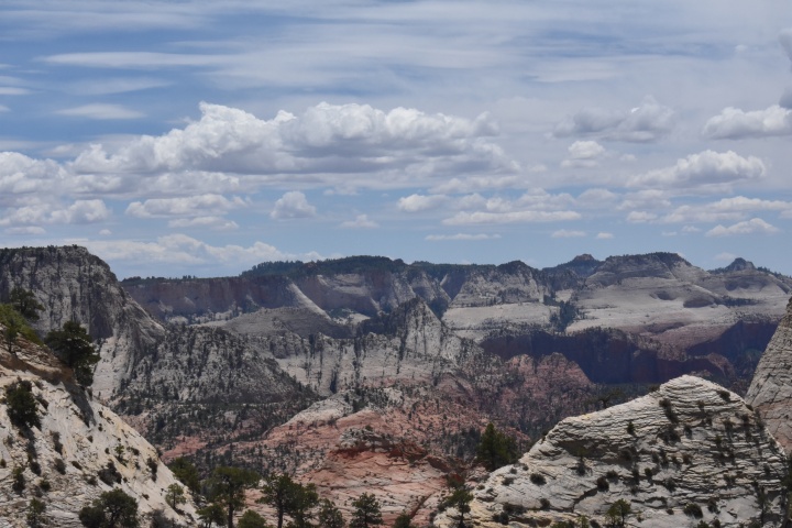 DSC_0442
