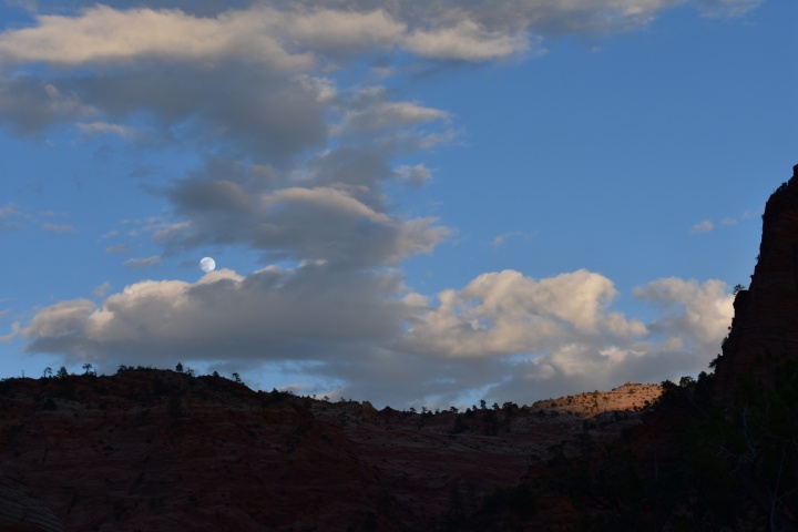DSC_0538
