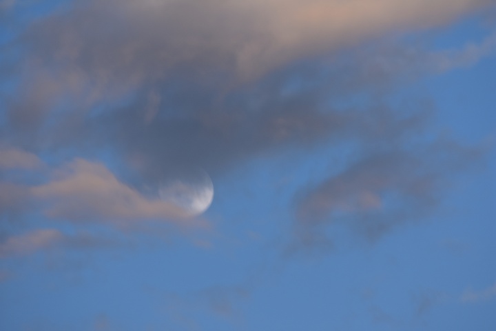 DSC_0540