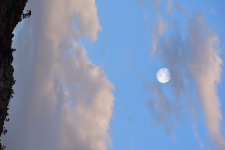 DSC_0542