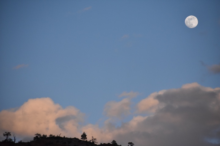 DSC_0549