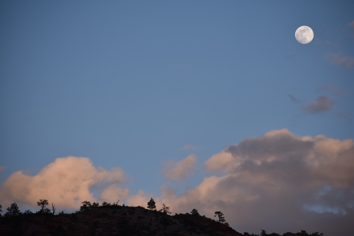 DSC_0551