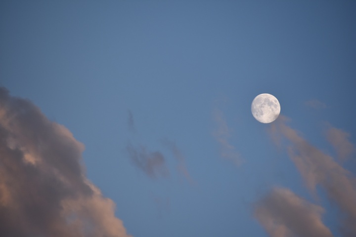 DSC_0553