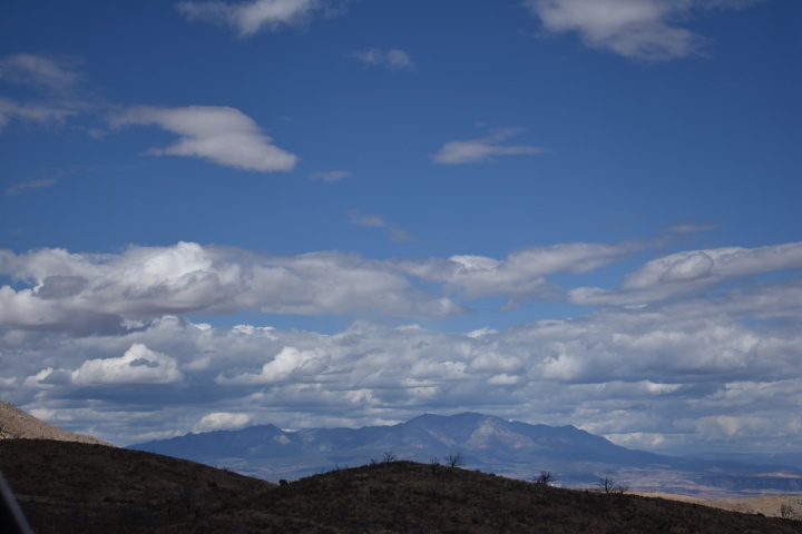 DSC_0663