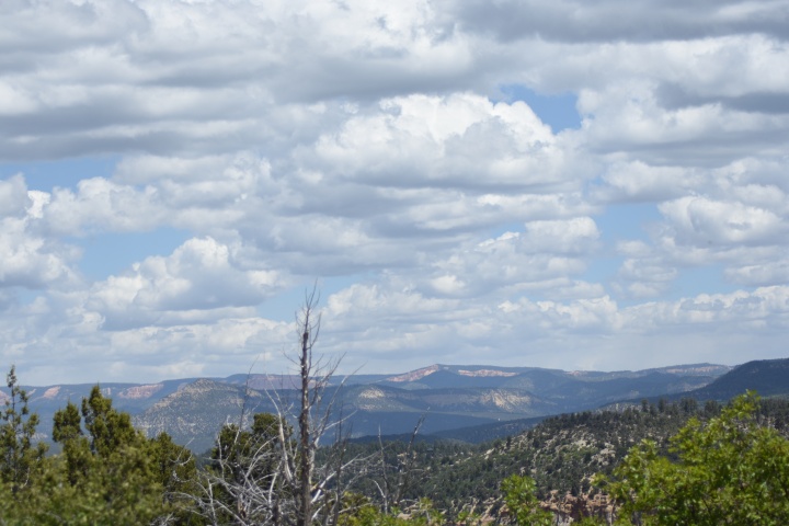 DSC_4087