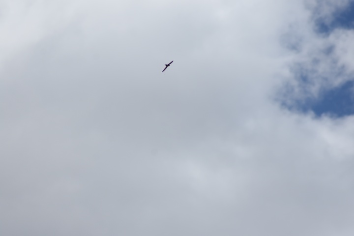 DSC_4094