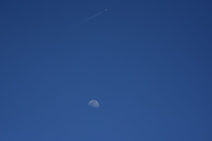 DSC_4135