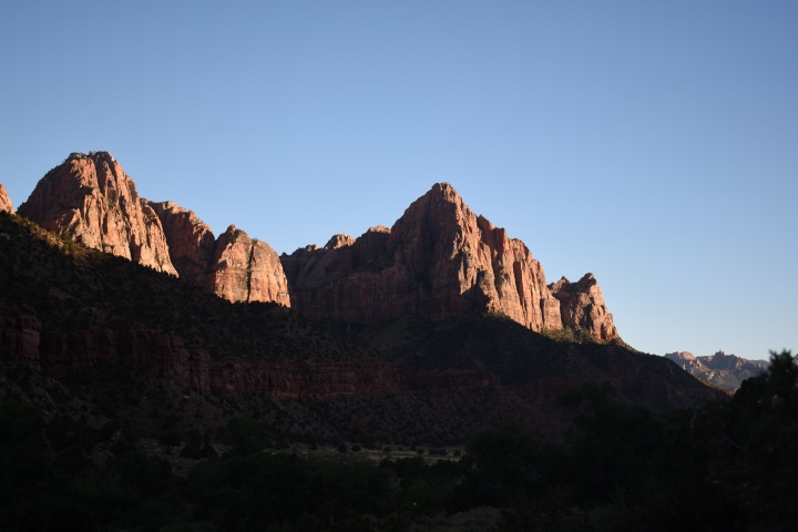 DSC_4205