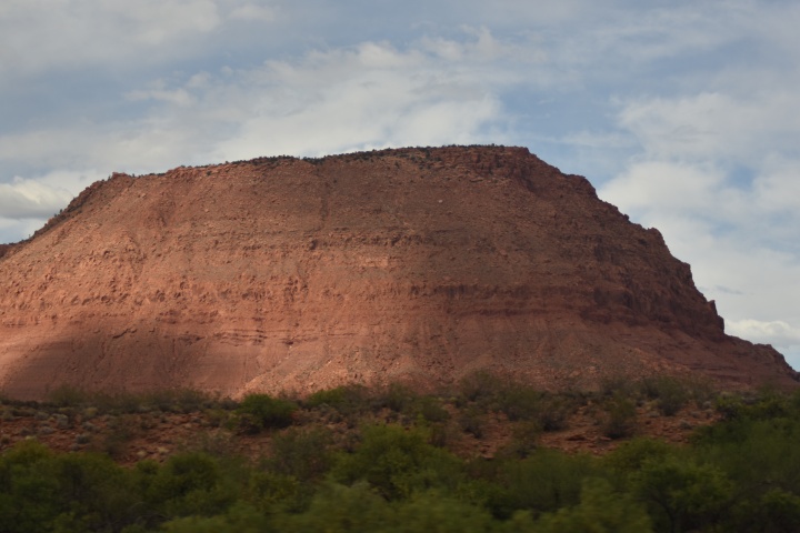 DSC_4646