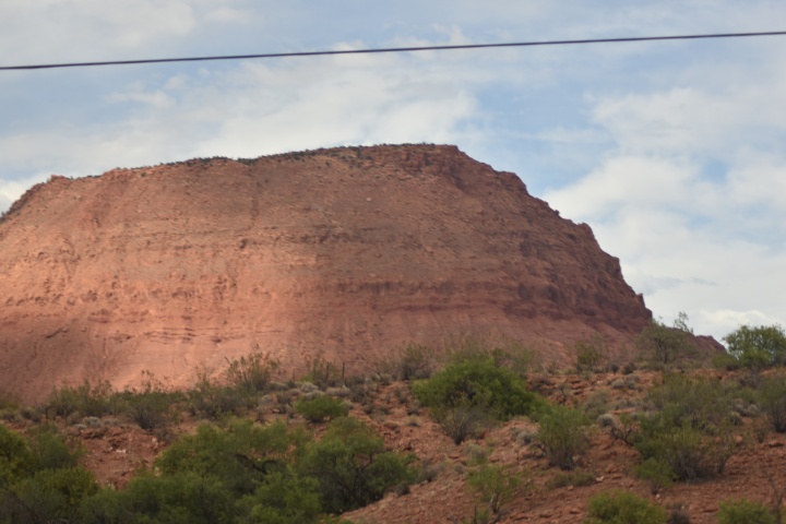 DSC_4647