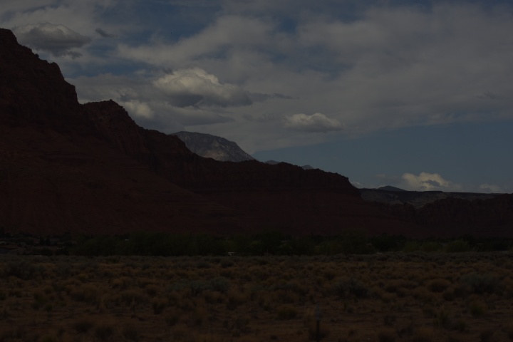 DSC_4650