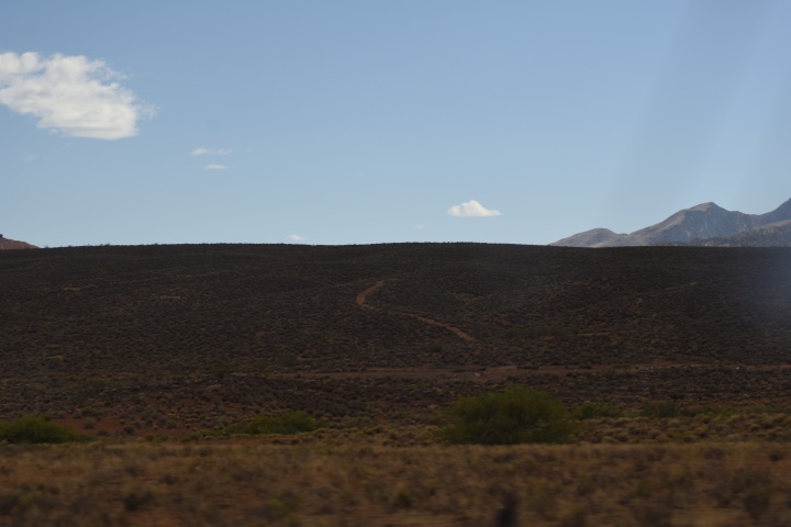 DSC_4655