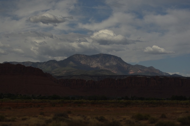DSC_4656