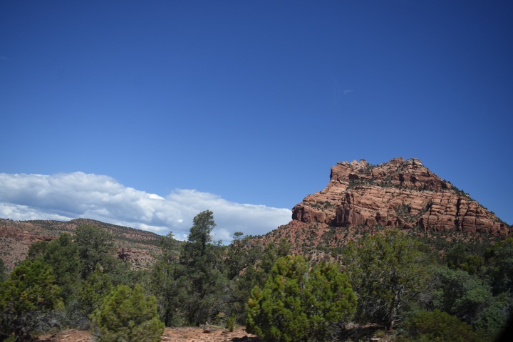 DSC_4679