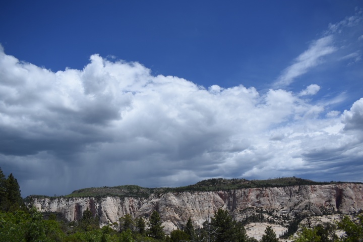 DSC_4684