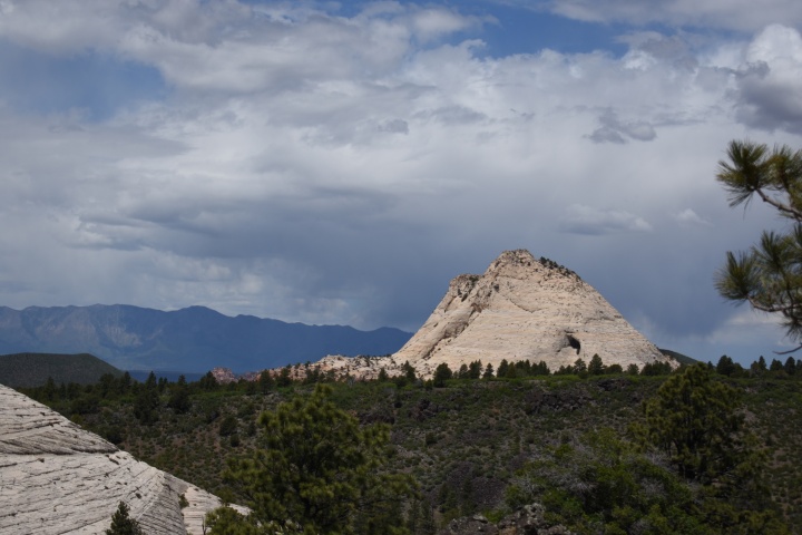 DSC_4690