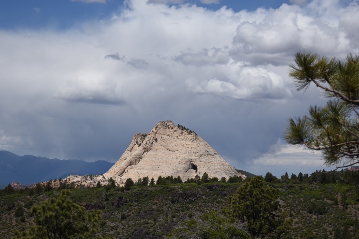 DSC_4695