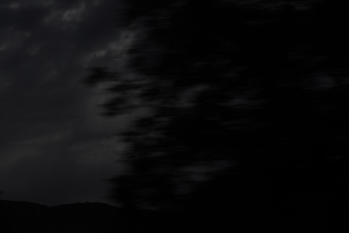 DSC_4788