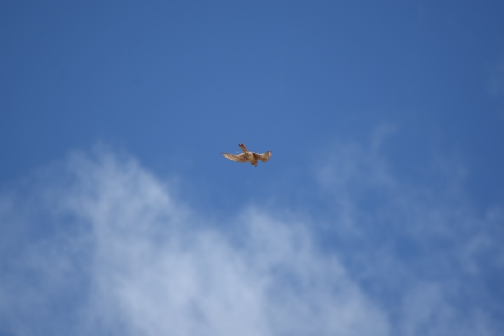 DSC_4814