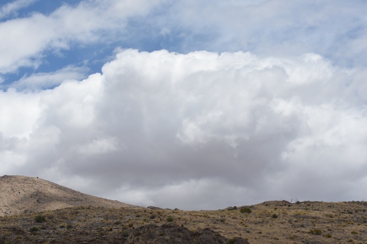 DSC_4830