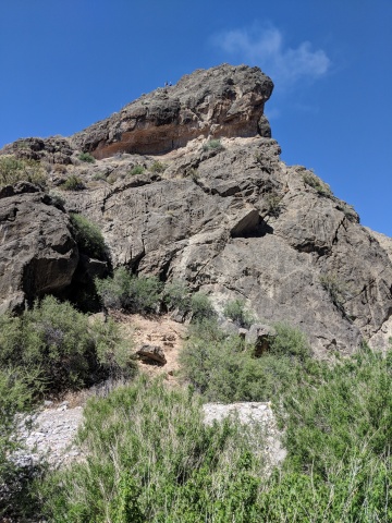MVIMG_20180526_150642