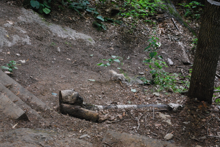DSC_1933