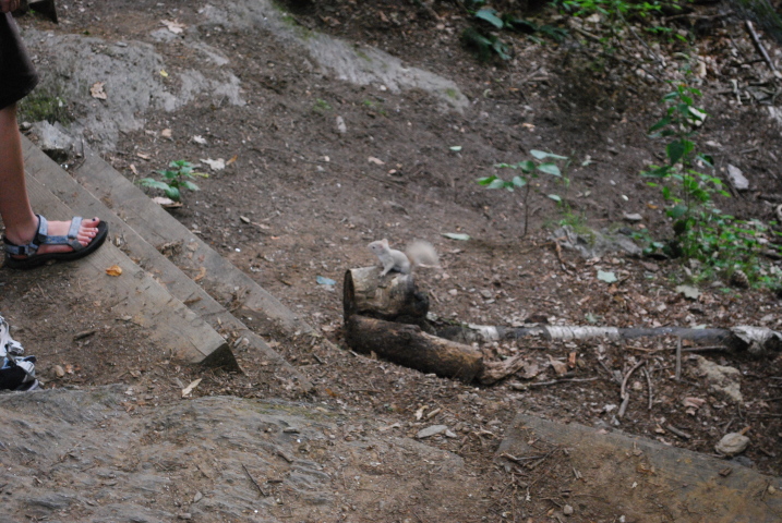 DSC_1934