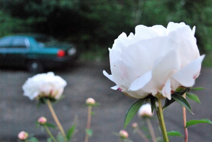 CSC_3904