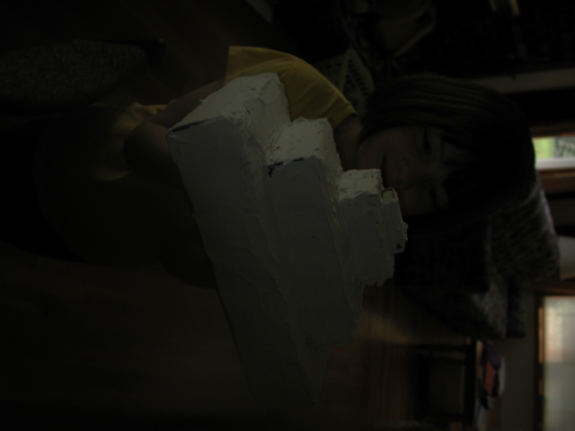DSCN7383