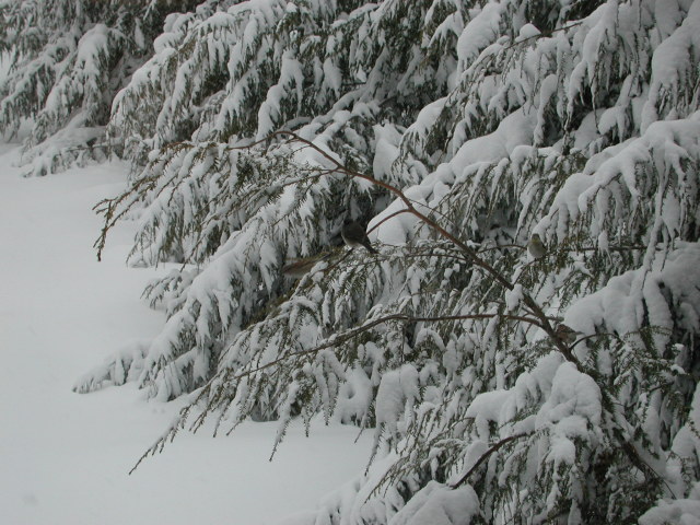 dscn2122