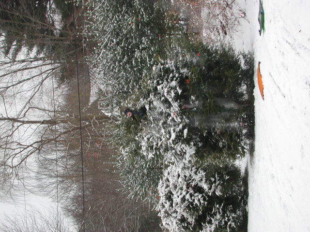 dscn7210
