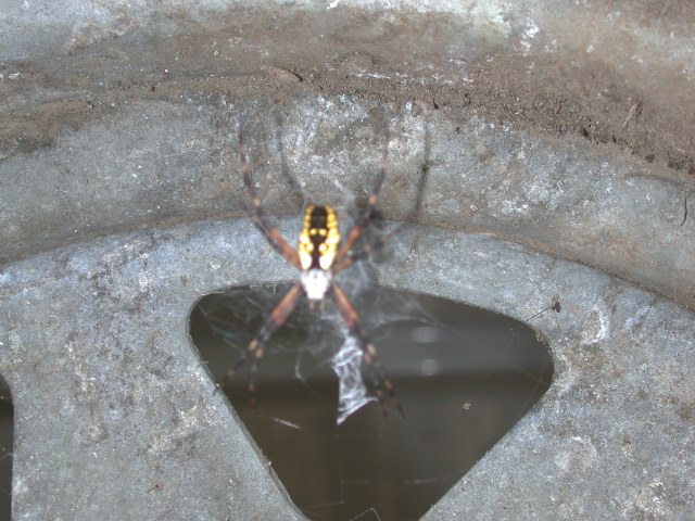 dscn7731