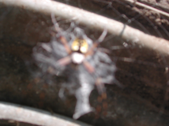 dscn7732