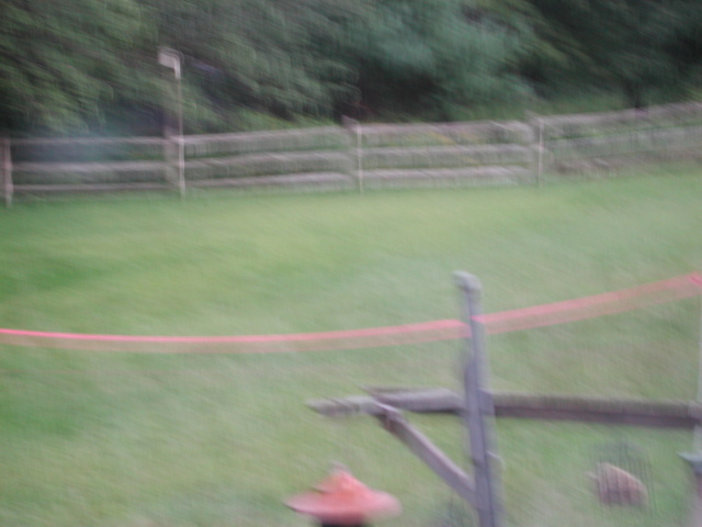 dscn7764