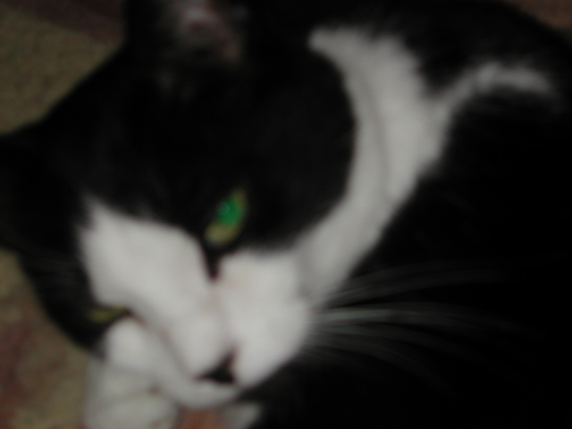 dscn7766