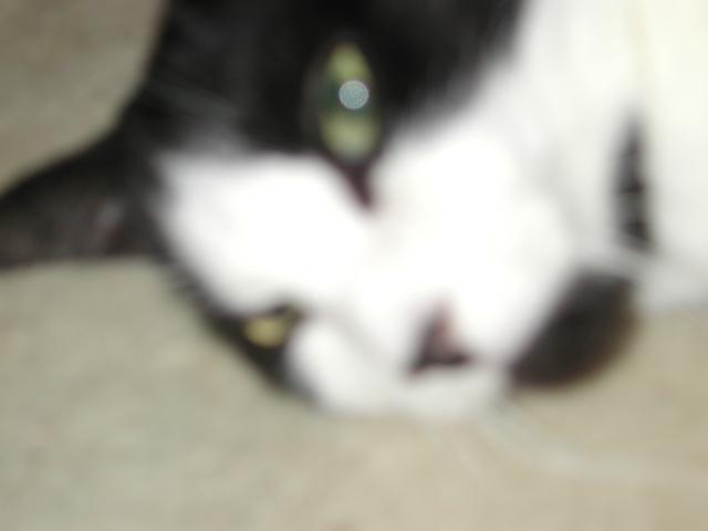 dscn7773