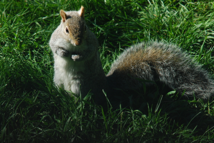 DSC_0190