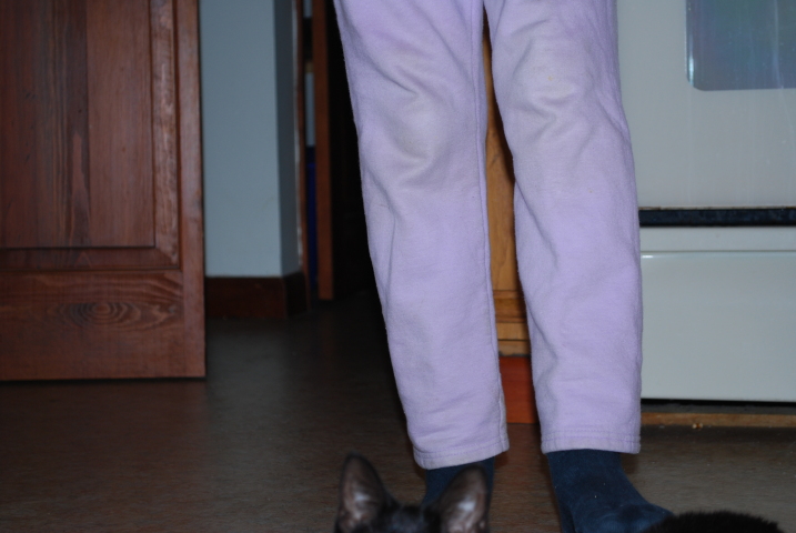 DSC_0191