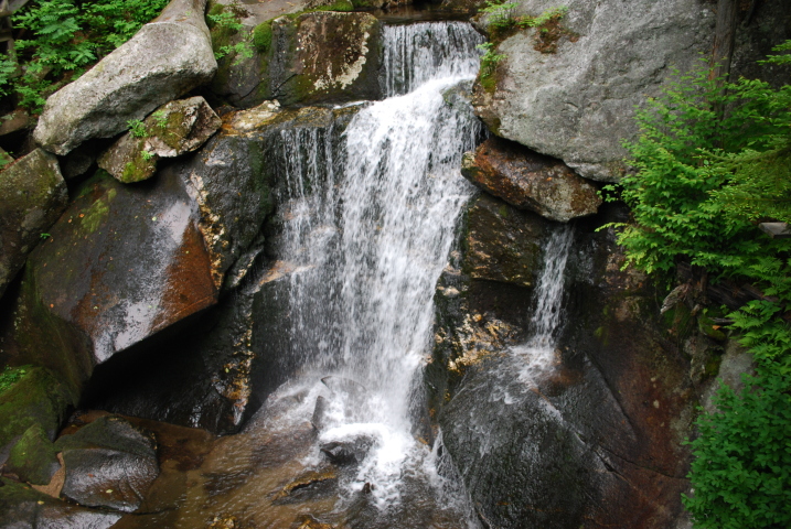 DSC_0336