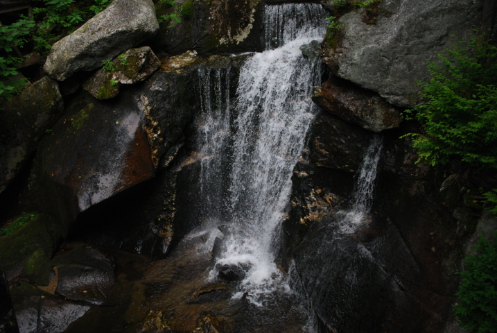 DSC_0338