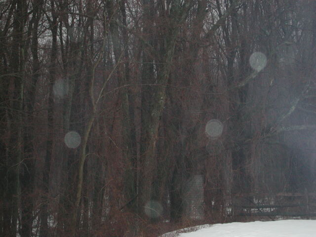 dscn0198