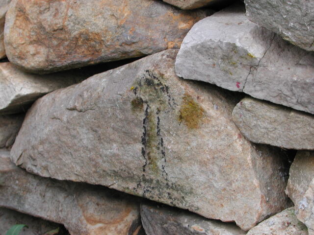 dscn0382