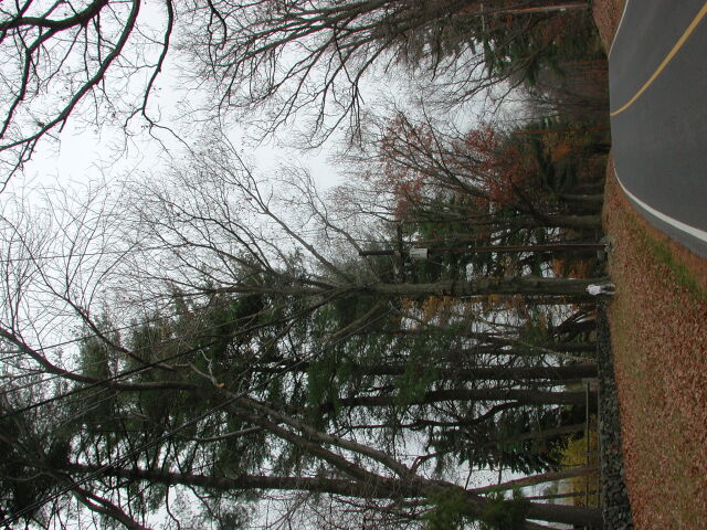 dscn0450
