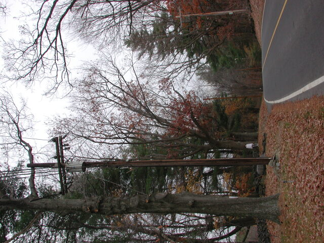 dscn0451