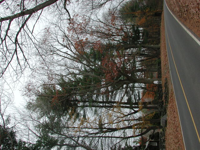 dscn0452