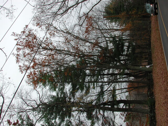 dscn0455